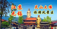 女人的鸡吧网战江苏无锡灵山大佛旅游风景区