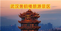 大鸡巴激情