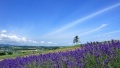 国内破处掰开逼逼日本一地6日游  境外旅游 6880元/人