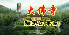 免费操逼观看中国浙江-新昌大佛寺旅游风景区